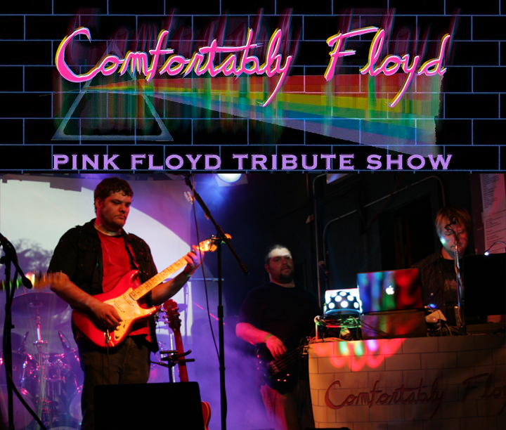 pink floyd dark side of the moon animals