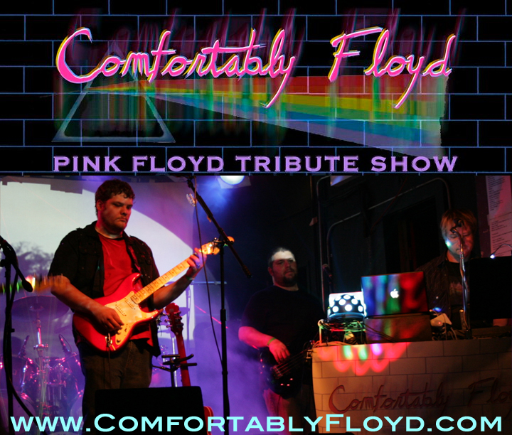 pink floyd tour chicago