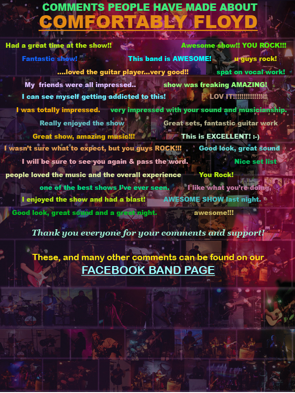 chicago pink floyd tribute band