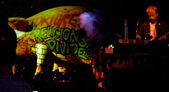 Pink Floyd Tribute chicago pigs anaimals