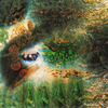A saucerful of secrets
